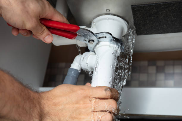Best Local water damage restoration  in Wliamsvle, IL