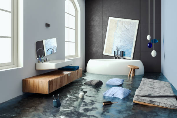 Best Emergency water damage restoration  in Wliamsvle, IL