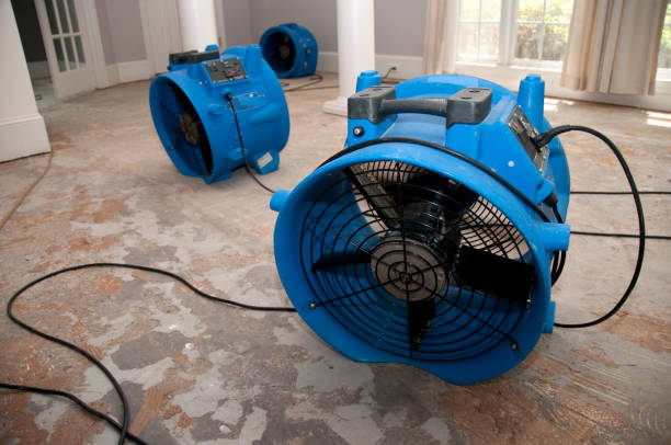Best Emergency water damage restoration  in Wliamsvle, IL
