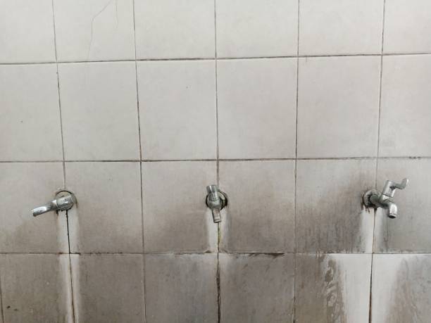Best Flooded house restoration  in Wliamsvle, IL