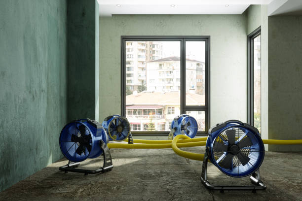 Best Water damage restoration company  in Wliamsvle, IL
