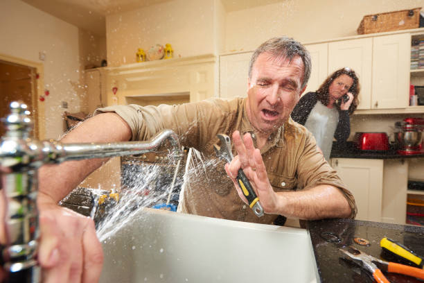  Wliamsvle, IL Water damage restoration Pros
